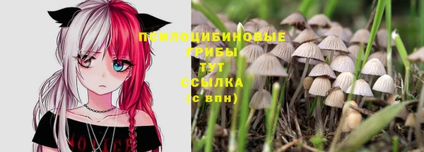 прущий лед Беломорск