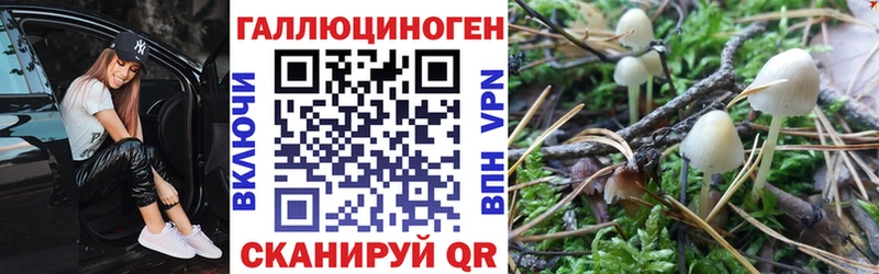 Купить где  Байкальск  Галлюциногенные грибы MAGIC MUSHROOMS 